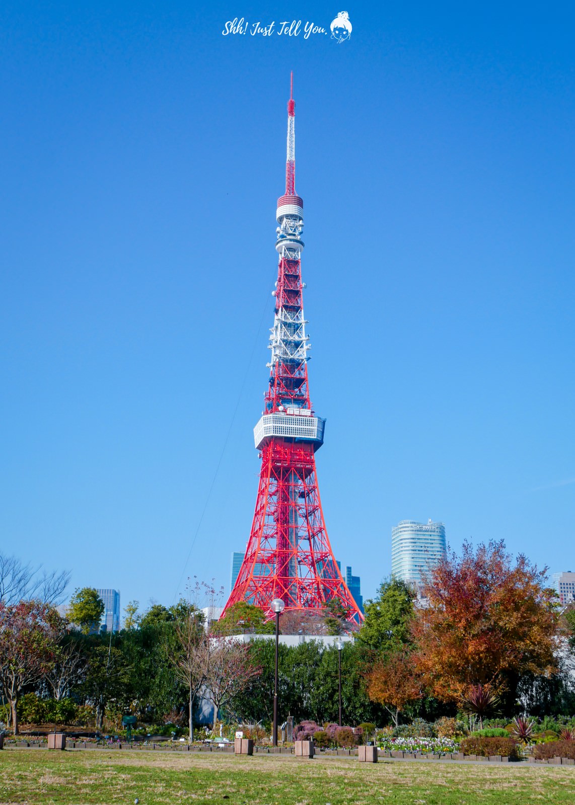 Tokyo Tower 100 Sceneries - A comprehensive list of recommended photo  spots, from classic spots to spectacular views of the tower when lit up.