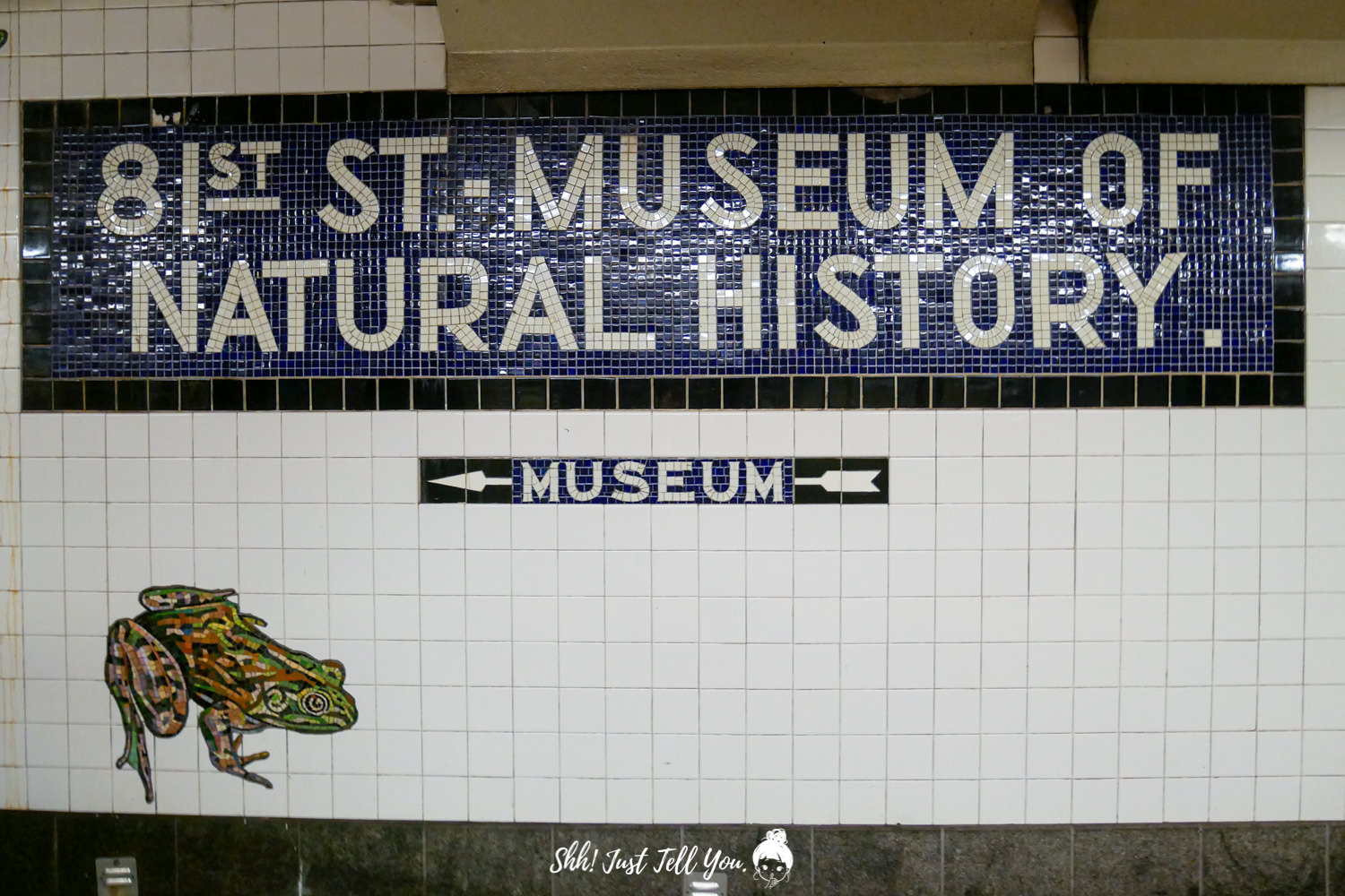 自然歷史博物館 american museum of natural history