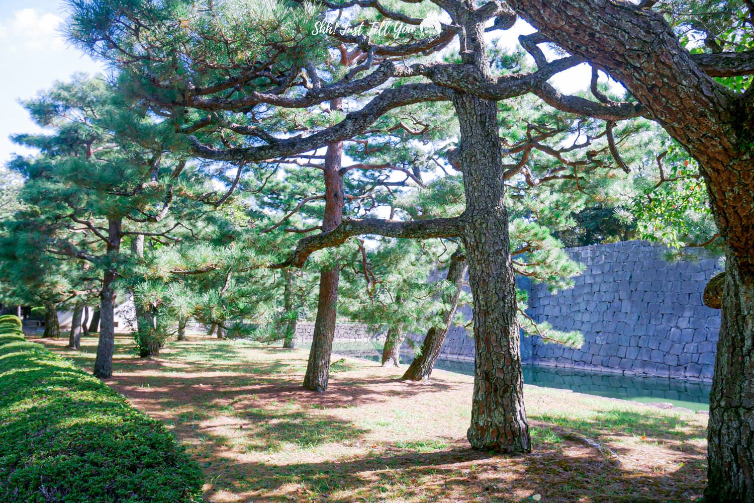 日本、京都｜元離宮二條城見證德川幕府的歷史
