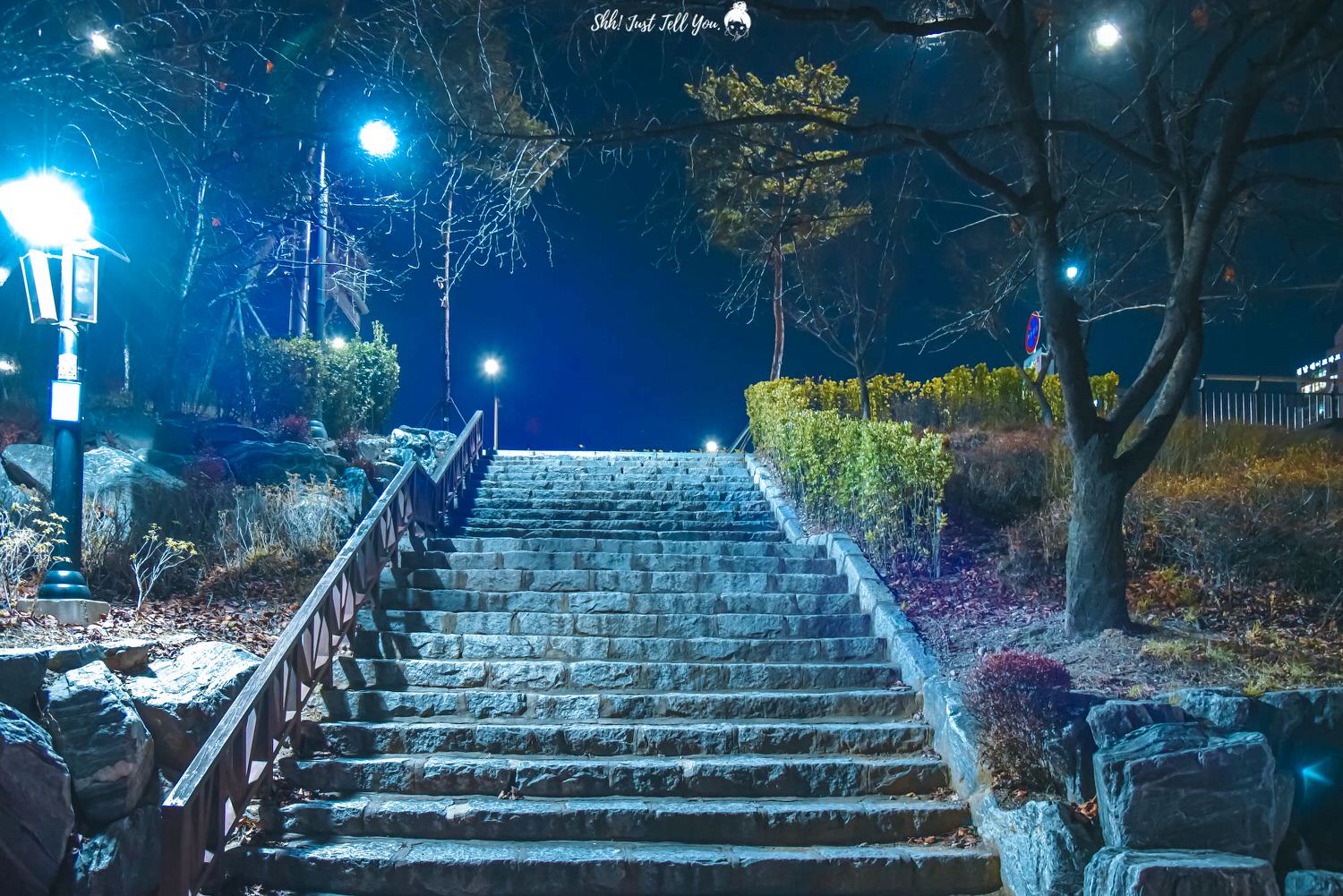 韓國石村湖夜景