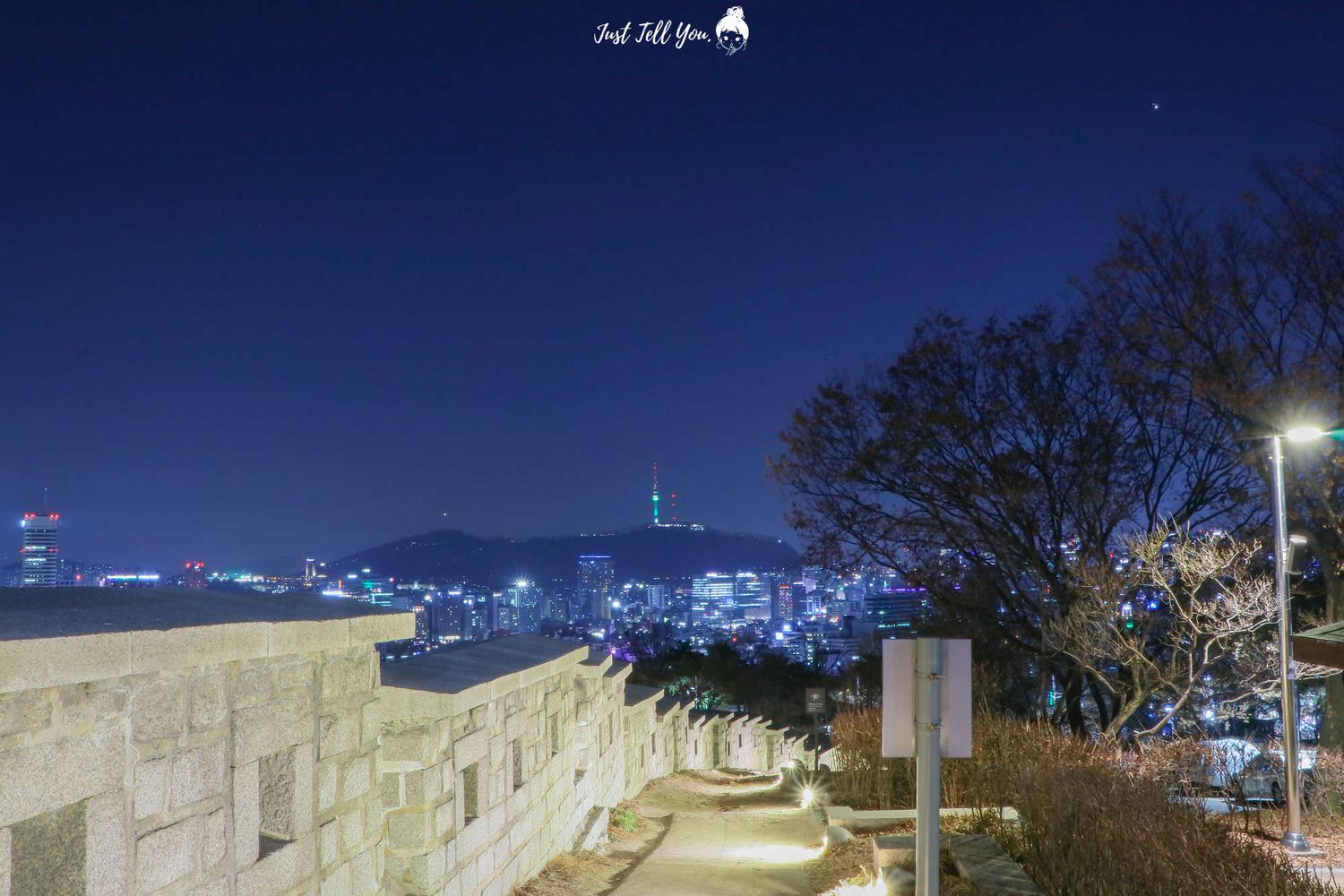 韓國首爾夜景駱山公園