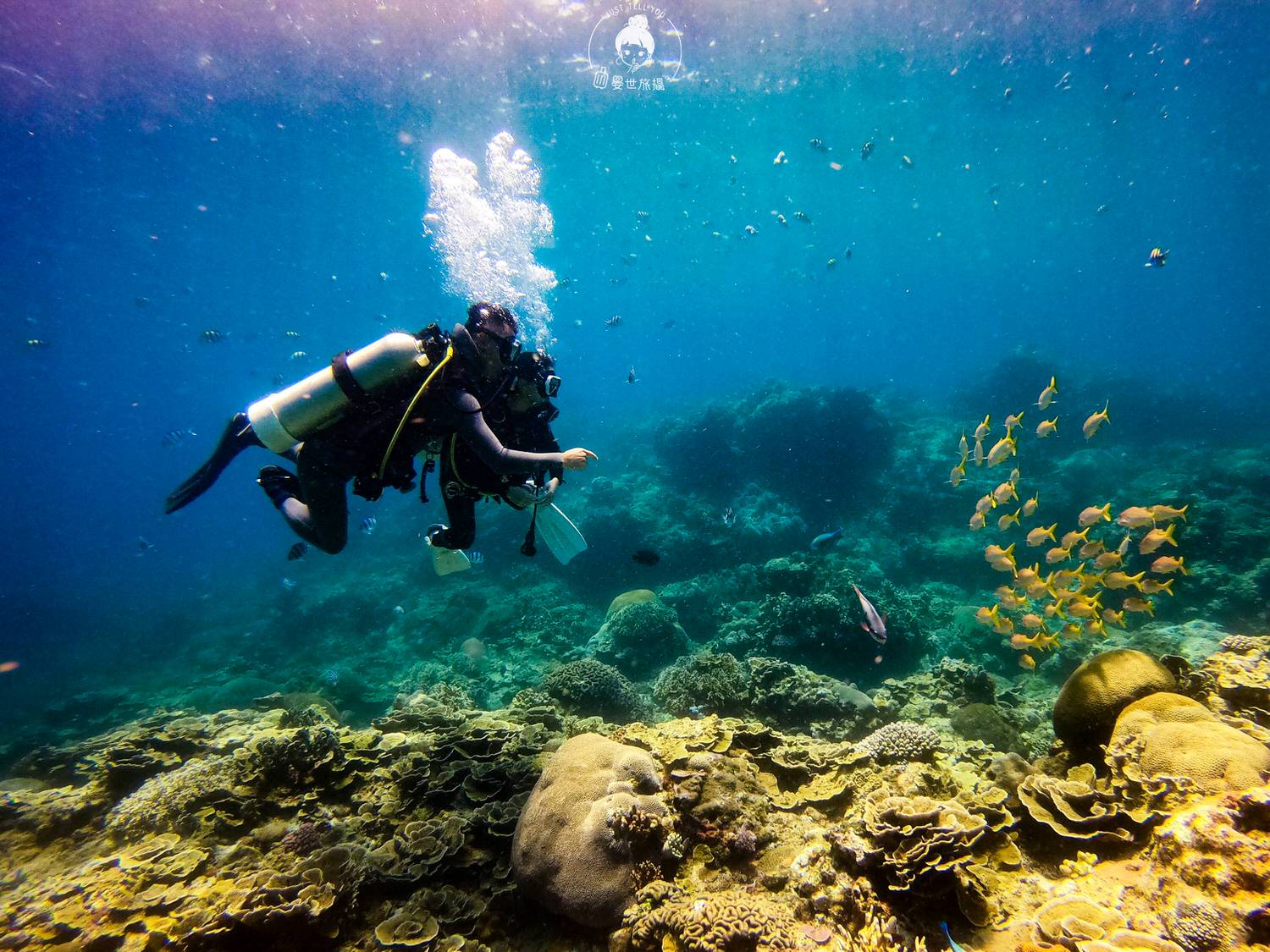 台東、綠島｜在海子Ocean Rover進行我的水肺潛水初體驗