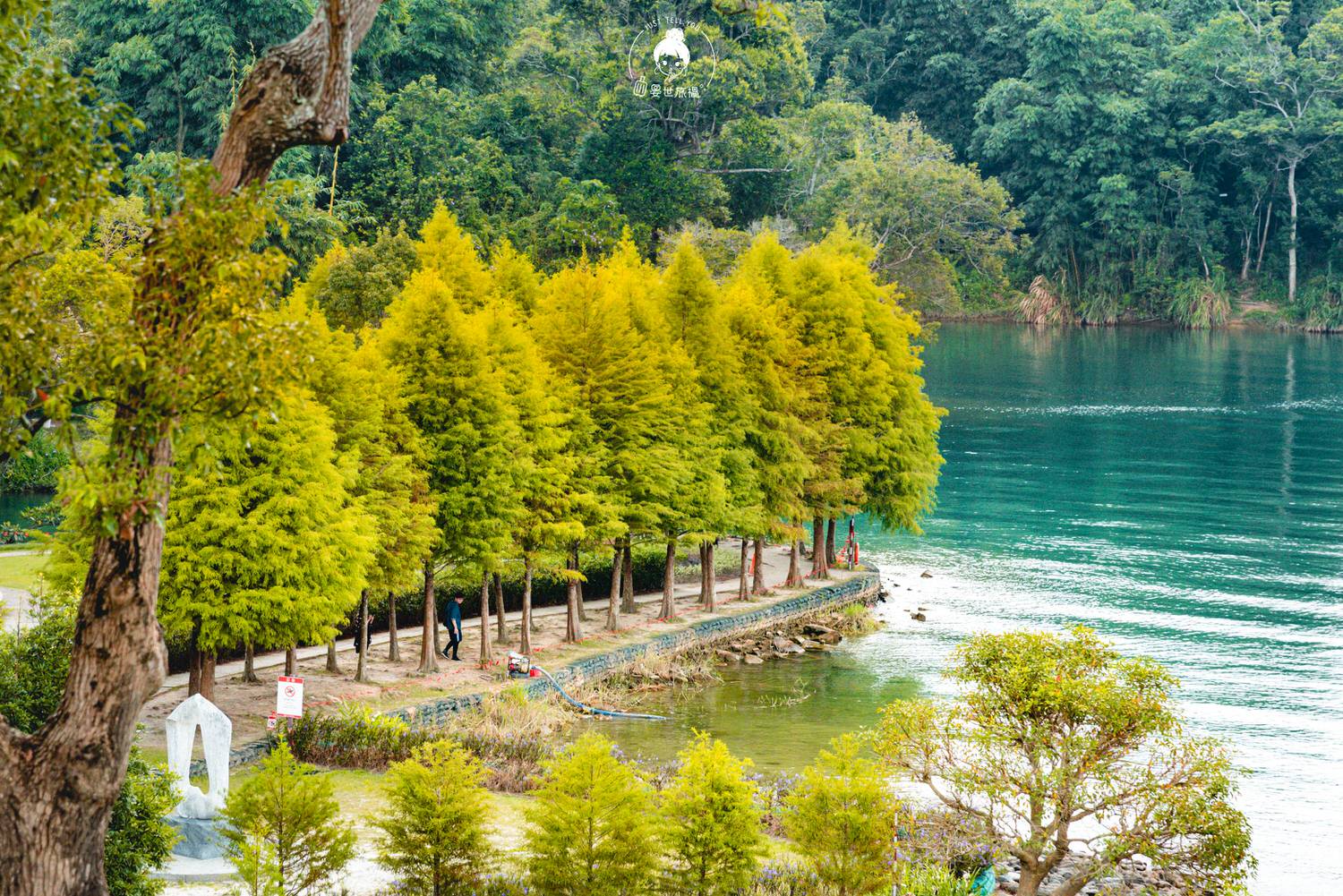 南投、魚池｜日月潭向山遊客服務中心・在最美遊客中心與大自然對話