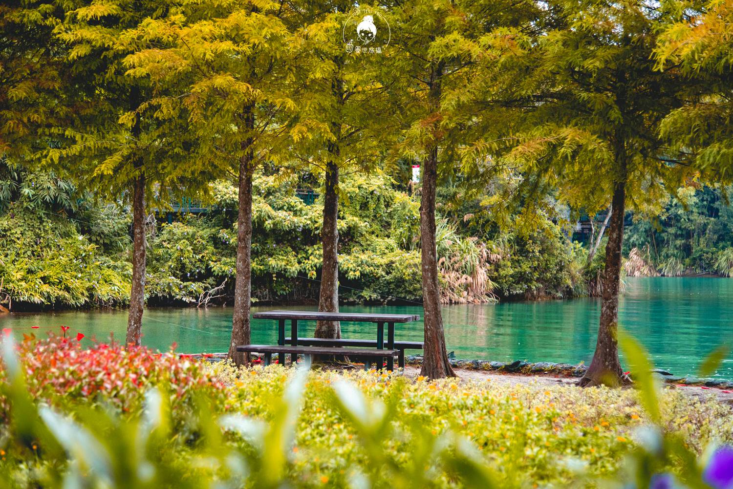 南投、魚池｜日月潭向山遊客服務中心・在最美遊客中心與大自然對話