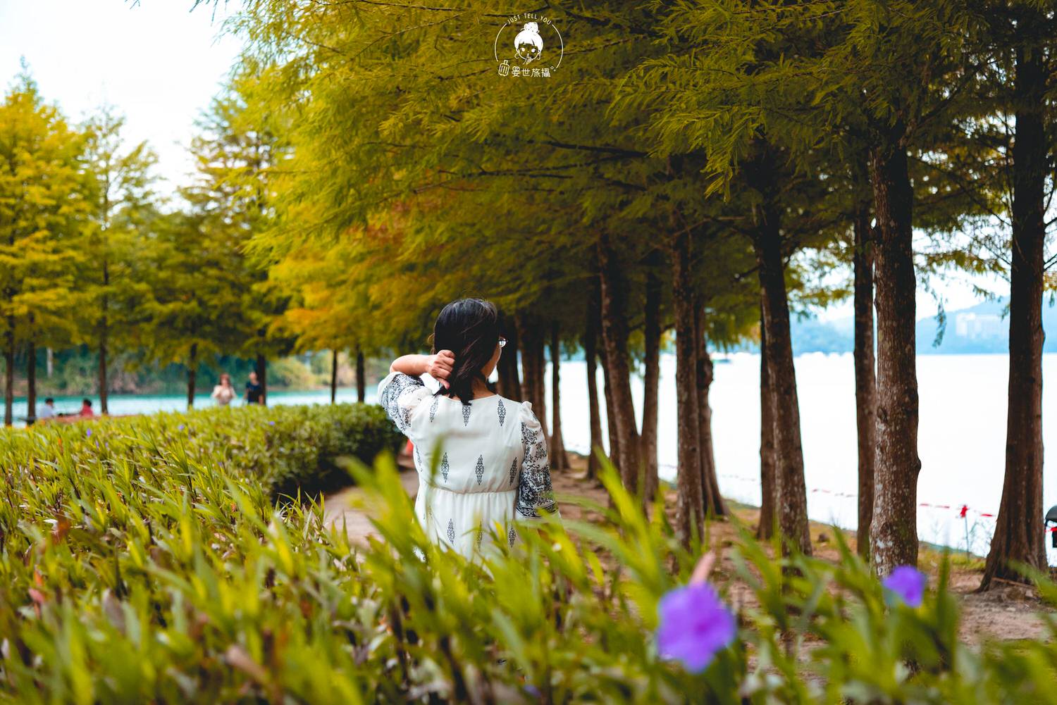 南投、魚池｜日月潭向山遊客服務中心・在最美遊客中心與大自然對話