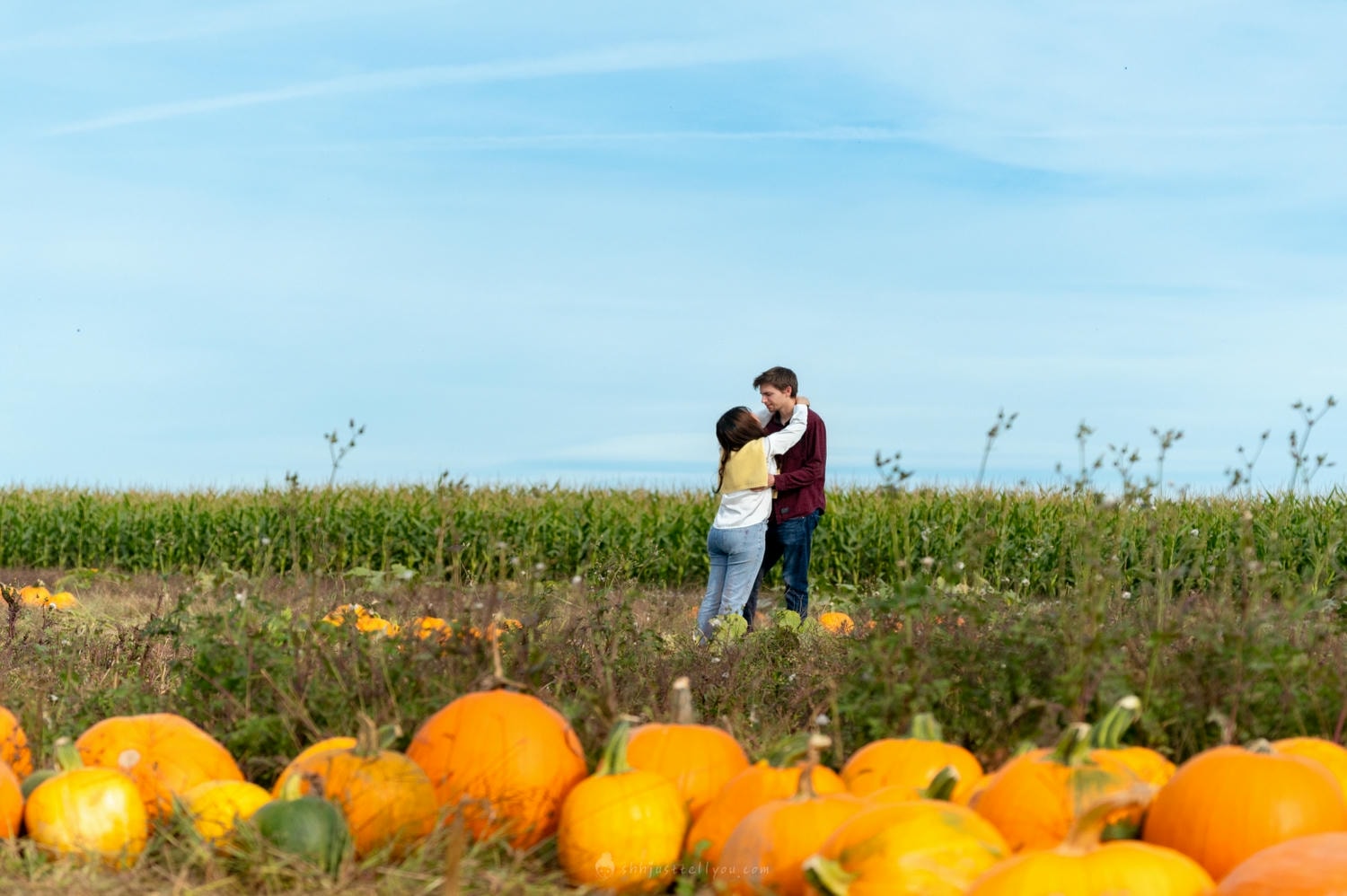 美國、波特蘭|Salem地區萬聖節必去的Pumpkin Patch - 第1張圖