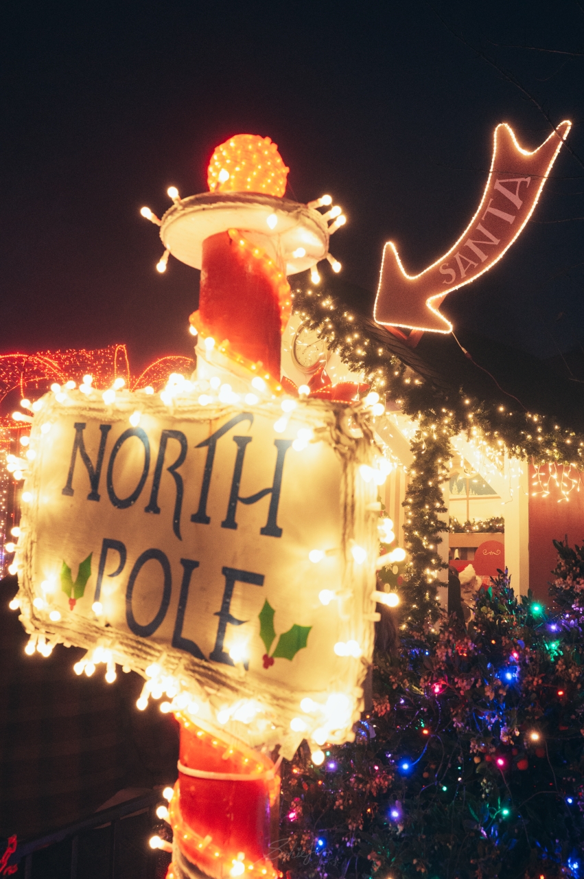 美國、俄勒岡|Silverton 聖誕市集・ 漫步Oregon Garden Resort的冬日療癒指南 - 第6張圖 美國、俄勒岡|Silverton 聖誕市集・ 漫步Oregon Garden Resort的冬日療癒指南