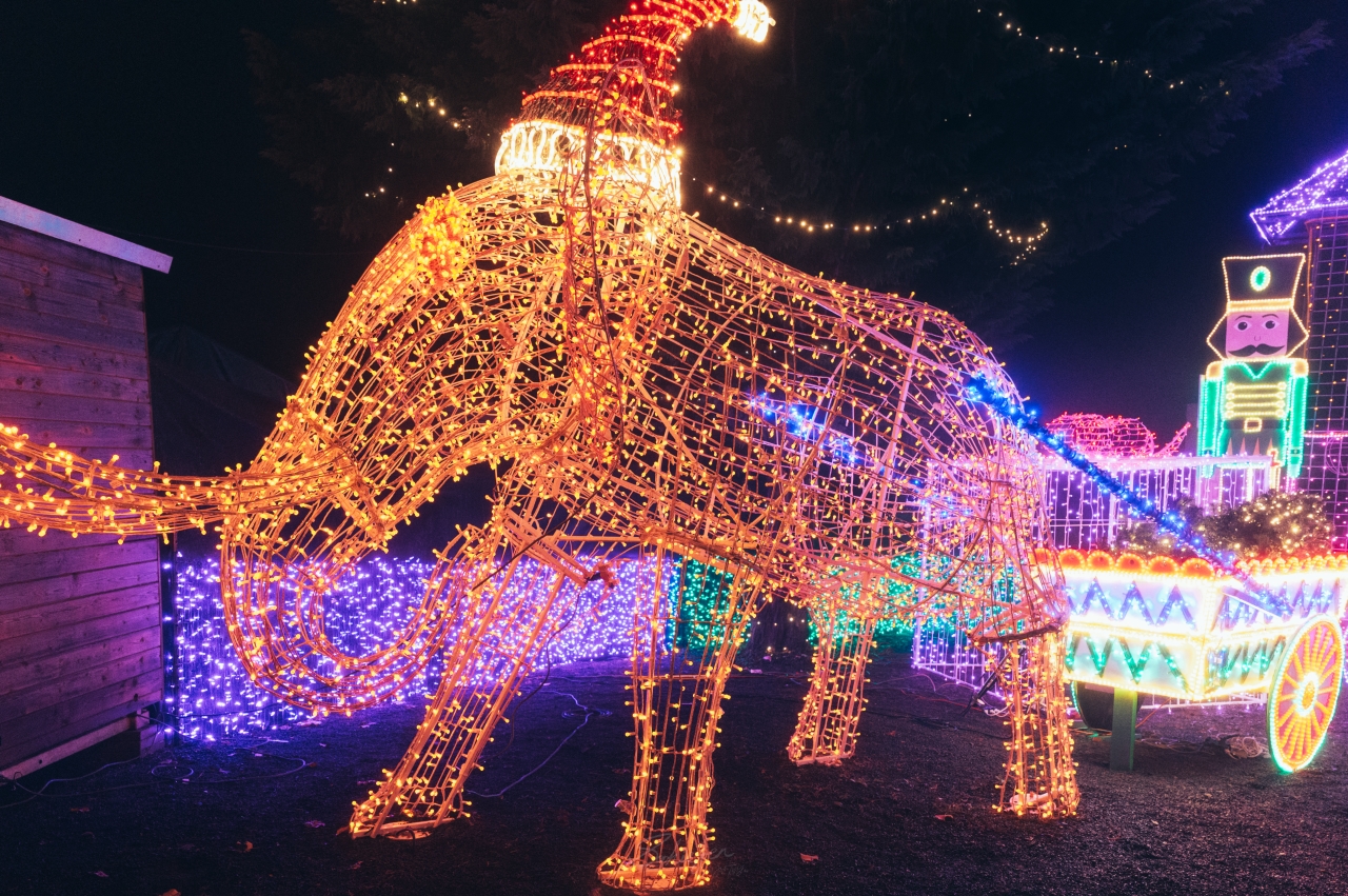 美國、俄勒岡|Silverton 聖誕市集・ 漫步Oregon Garden Resort的冬日療癒指南 - 第9張圖 美國、俄勒岡|Silverton 聖誕市集・ 漫步Oregon Garden Resort的冬日療癒指南