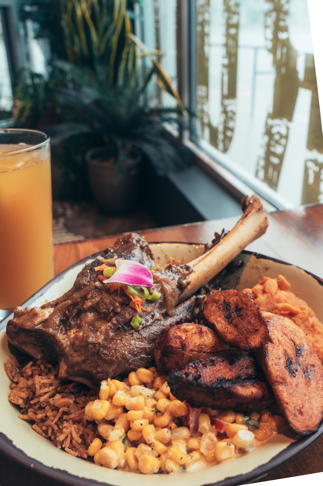 美國、密西根｜Baobab Fare・底特律第一家東非餐廳，蒲隆地夫妻的家鄉味